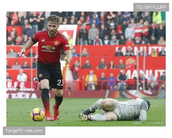 爱德华重返英超迎新挑战,状态成焦点 爱德华重返英超迎新挑战,状态成焦点